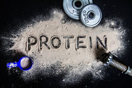 蛋白質